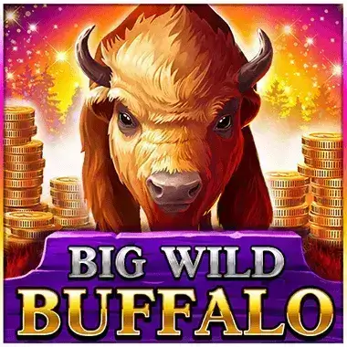 Play Big Wild Buffalo Rainbet casino